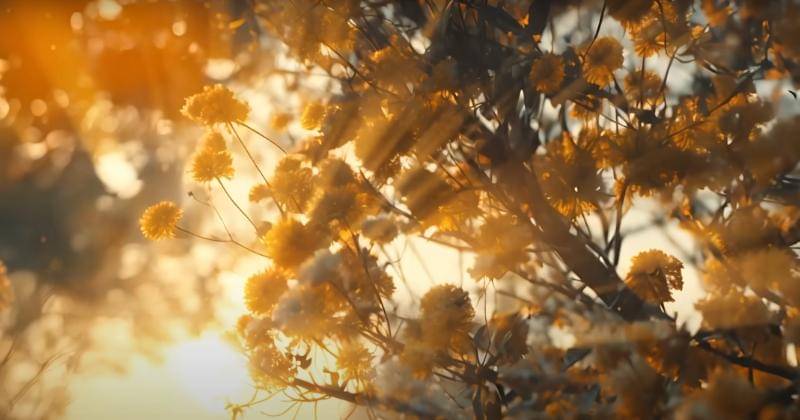 Youtube.com/RaimLaode